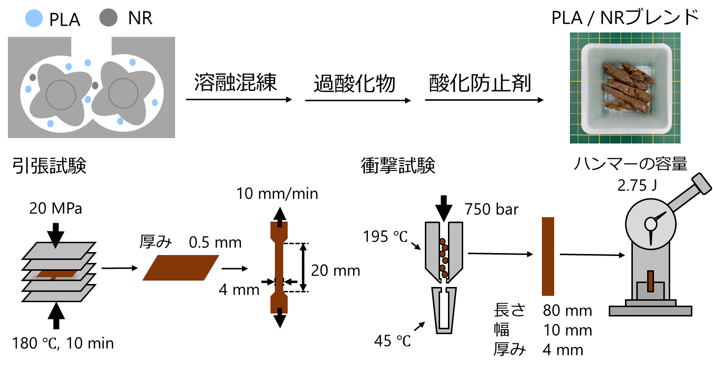 Preparation process and evaluation methods for PLA and natural rubber composite samples, including tensile and impact testing.